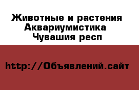 Животные и растения Аквариумистика. Чувашия респ.